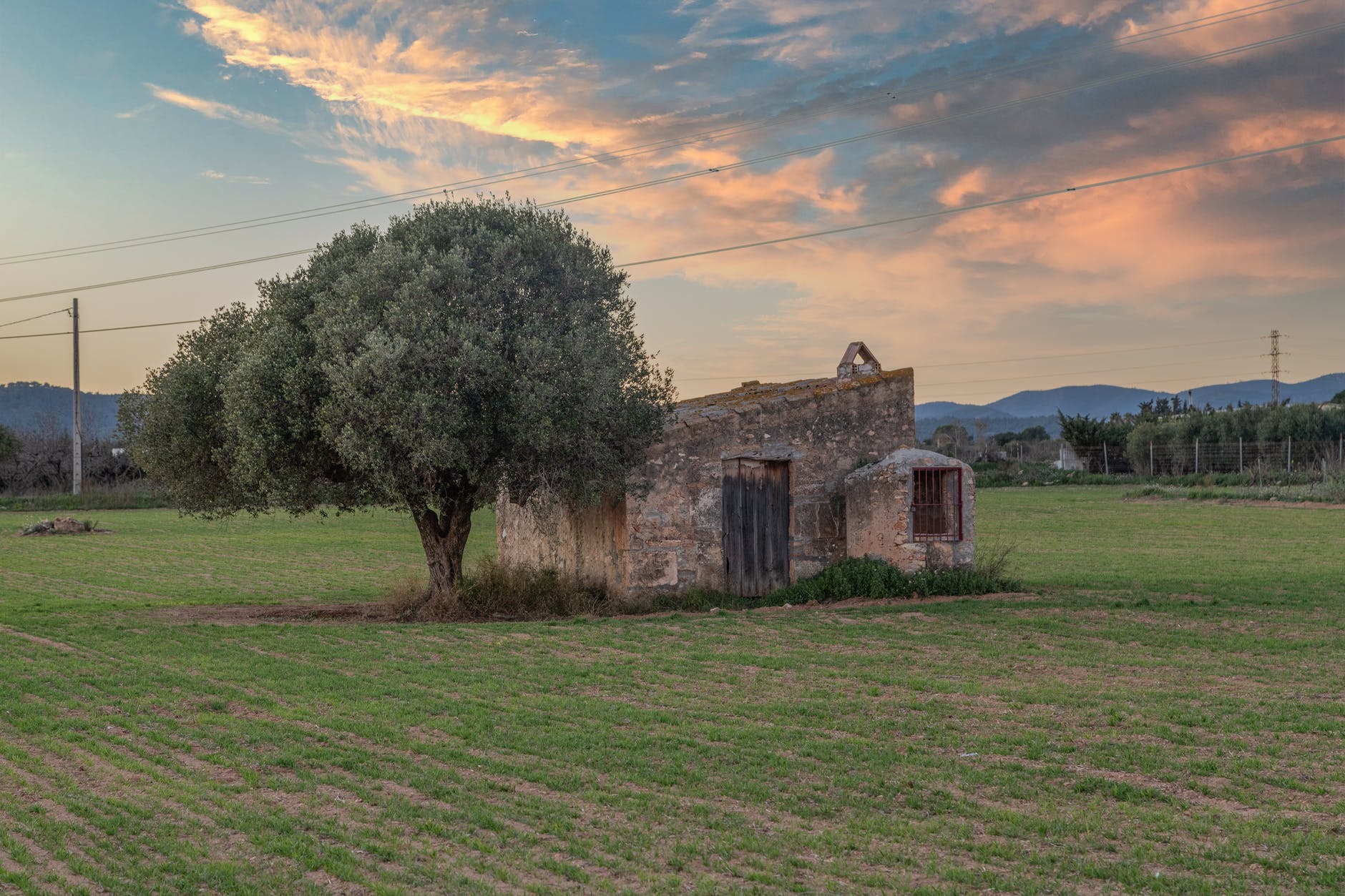 landscape sunset field summer